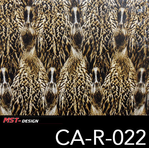 CA-R-022 1000